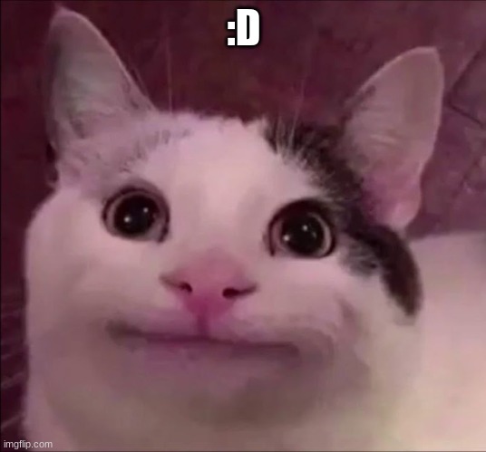 Awkward Smile Cat | :D | image tagged in awkward smile cat | made w/ Imgflip meme maker