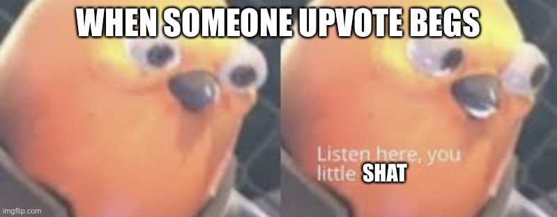Listen here you little shit bird | WHEN SOMEONE UPVOTE BEGS; SHAT | image tagged in listen here you little shit bird | made w/ Imgflip meme maker