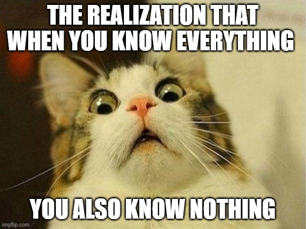 Knowledge | THE REALIZATION THAT WHEN YOU KNOW EVERYTHING; YOU ALSO KNOW NOTHING | image tagged in memes,scared cat | made w/ Imgflip meme maker