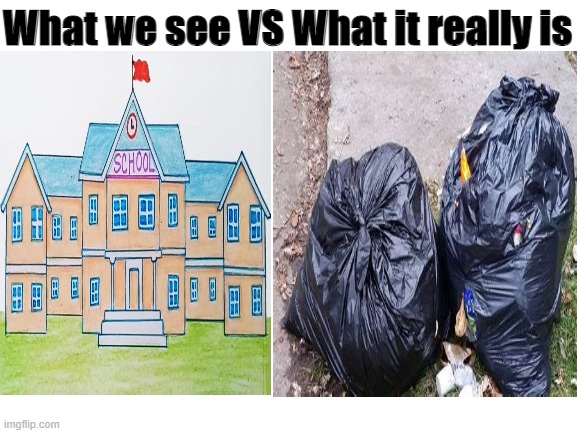 What we see and what it is | What we see VS What it really is | image tagged in school,garbage,what we see | made w/ Imgflip meme maker