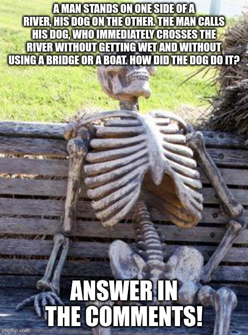 Answer your Answer in the Comment section with the Answers! | A MAN STANDS ON ONE SIDE OF A RIVER, HIS DOG ON THE OTHER. THE MAN CALLS HIS DOG, WHO IMMEDIATELY CROSSES THE RIVER WITHOUT GETTING WET AND WITHOUT USING A BRIDGE OR A BOAT. HOW DID THE DOG DO IT? ANSWER IN THE COMMENTS! | image tagged in memes,waiting skeleton | made w/ Imgflip meme maker