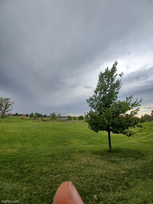 My local park | image tagged in colorado | made w/ Imgflip meme maker
