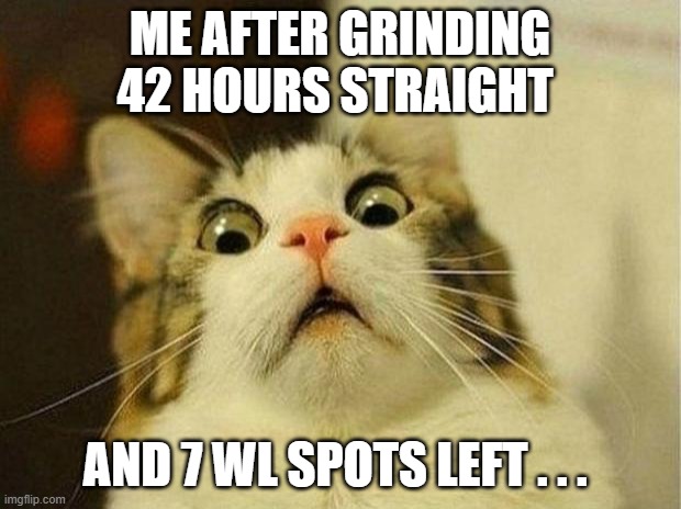 42 hour grind | ME AFTER GRINDING 42 HOURS STRAIGHT; AND 7 WL SPOTS LEFT . . . | image tagged in memes,scared cat,cat,funny memes,nft | made w/ Imgflip meme maker