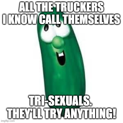 larry the cucumber did you know | ALL THE TRUCKERS I KNOW CALL THEMSELVES TRI-SEXUALS.  THEY'LL TRY ANYTHING! | image tagged in larry the cucumber did you know | made w/ Imgflip meme maker