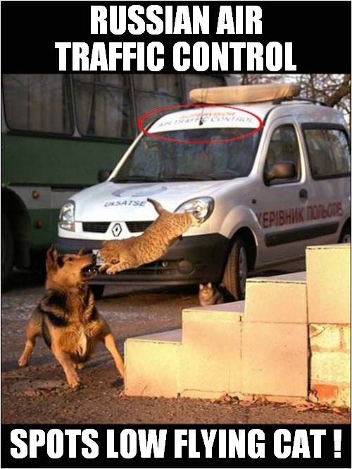 Russian Cat Attack ! | RUSSIAN AIR TRAFFIC CONTROL; SPOTS LOW FLYING CAT ! | image tagged in cats,dogs,russian,attack,air traffic control | made w/ Imgflip meme maker