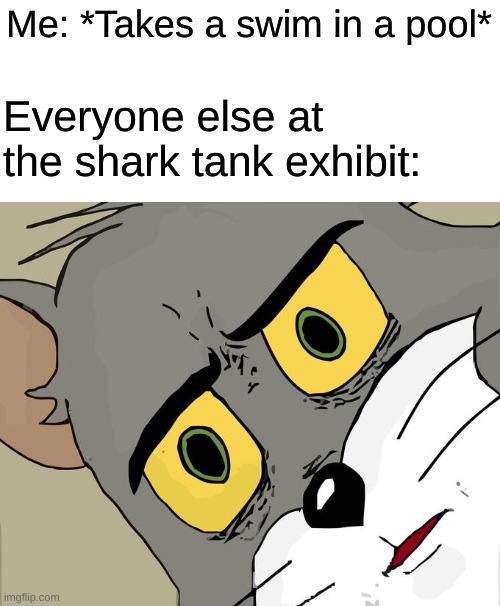 Oh sh- | Me: *Takes a swim in a pool*; Everyone else at the shark tank exhibit: | image tagged in memes,unsettled tom | made w/ Imgflip meme maker