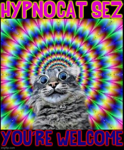You too can become Hypno-Cat —with enough Acid | HYPNO-CAT SEZ; YOU'RE WELCOME | image tagged in vince vance,hypnotic,cats,thank you,you're welcome,memes | made w/ Imgflip meme maker