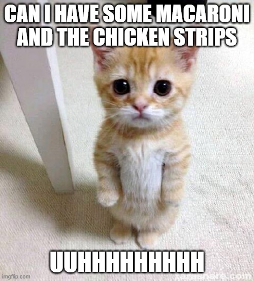 Cute Cat | CAN I HAVE SOME MACARONI AND THE CHICKEN STRIPS; UUHHHHHHHHH | image tagged in memes,cute cat | made w/ Imgflip meme maker
