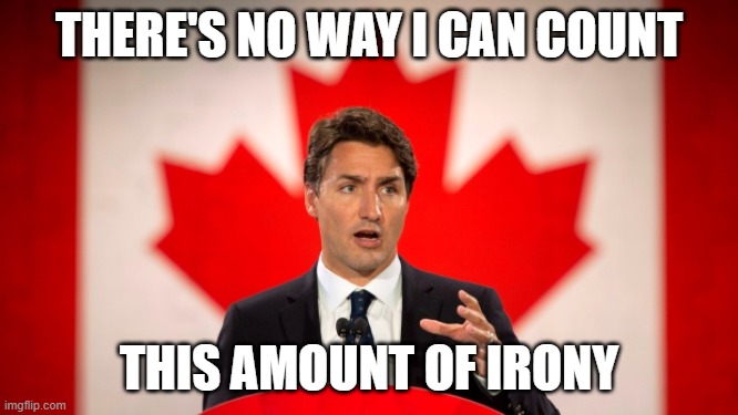 Justin Trudeau | THERE'S NO WAY I CAN COUNT THIS AMOUNT OF IRONY | image tagged in justin trudeau | made w/ Imgflip meme maker