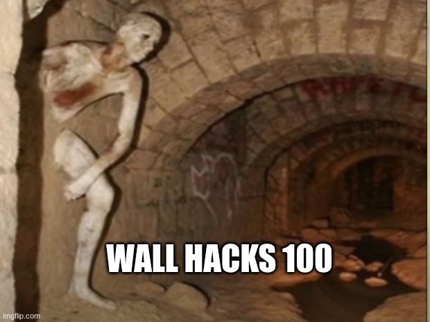 Wall Hacks | WALL HACKS 100 | image tagged in memes | made w/ Imgflip meme maker