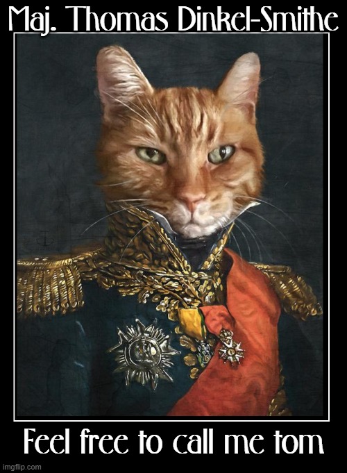 A Tomcat can be distinguished | Maj. Thomas Dinkel-Smithe; Feel free to call me tom | image tagged in vince vance,tom cat,distinguished,cats,funny cat memes,meow | made w/ Imgflip meme maker