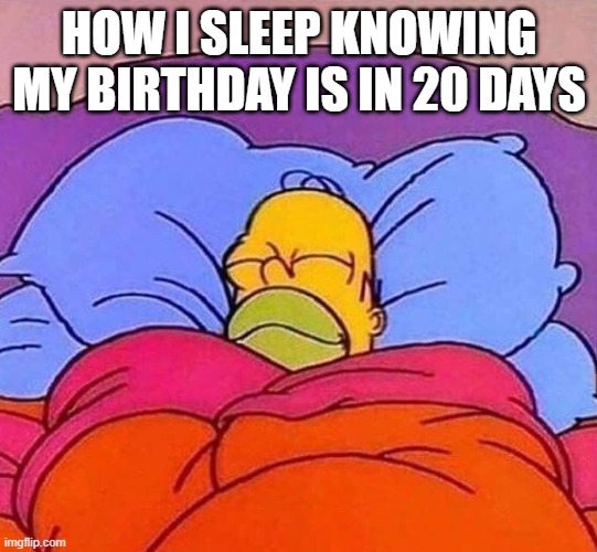 Homer Simpson sleeping peacefully | HOW I SLEEP KNOWING MY BIRTHDAY IS IN 20 DAYS | image tagged in homer simpson sleeping peacefully | made w/ Imgflip meme maker