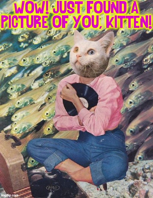I feel smitten when he calls me "Kitten" | WOW! JUST FOUND A PICTURE OF YOU, KITTEN! | image tagged in vince vance,cats,kitten,i love cats,funny cat memes,record player | made w/ Imgflip meme maker