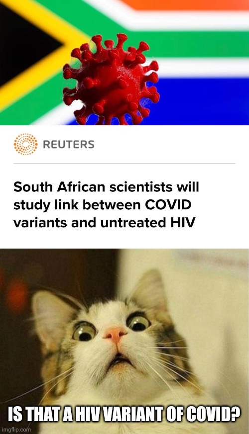 HIV Variant of COVID-19? | IS THAT A HIV VARIANT OF COVID? | image tagged in memes,scared cat,coronavirus,covid-19,hiv,omicron | made w/ Imgflip meme maker