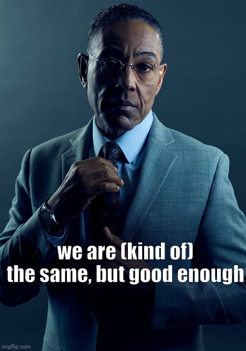 Gus Fring we are not the same | we are (kind of) the same, but good enough | image tagged in gus fring we are not the same | made w/ Imgflip meme maker