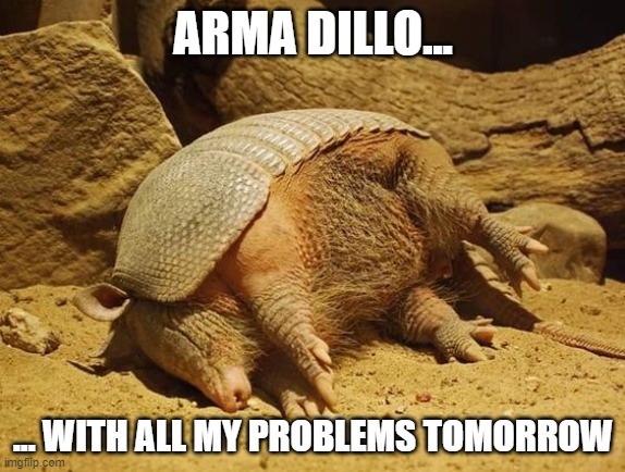Armadillo Sleeping | ARMA DILLO... ... WITH ALL MY PROBLEMS TOMORROW | image tagged in armadillo sleeping | made w/ Imgflip meme maker