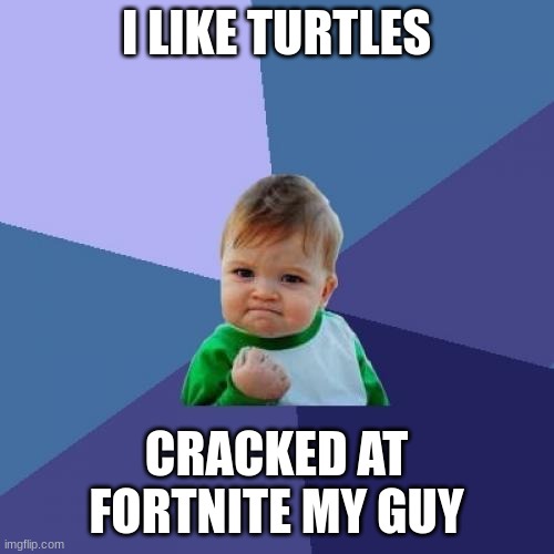 Success Kid Meme | I LIKE TURTLES CRACKED AT FORTNITE MY GUY | image tagged in memes,success kid | made w/ Imgflip meme maker