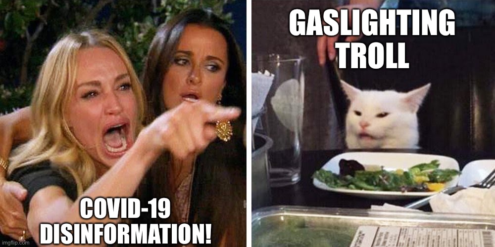 Who Is The Ultimate Authority To Declare Covid Disinformation? | GASLIGHTING TROLL; COVID-19 DISINFORMATION! | image tagged in smudge the cat,covid misinformation,covid disinformations,political meme | made w/ Imgflip meme maker