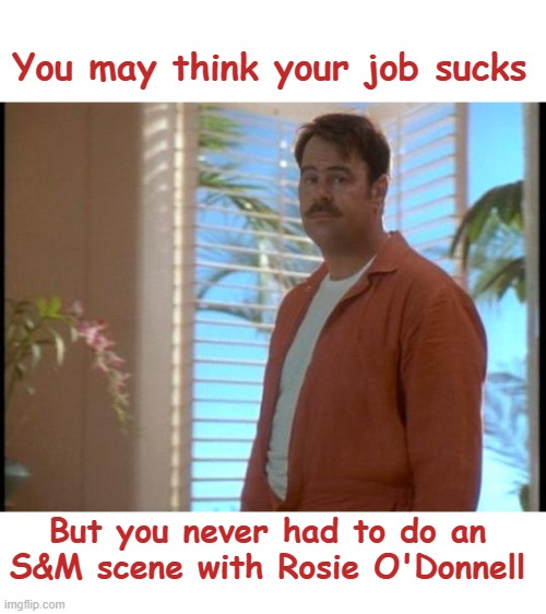 Your Job Isn't That Bad |  You may think your job sucks; But you never had to do an S&M scene with Rosie O'Donnell | image tagged in dan akroyd,memes,i hate my job | made w/ Imgflip meme maker