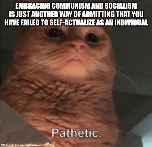 Pathetic Cat | EMBRACING COMMUNISM AND SOCIALISM IS JUST ANOTHER WAY OF ADMITTING THAT YOU HAVE FAILED TO SELF-ACTUALIZE AS AN INDIVIDUAL | image tagged in pathetic cat | made w/ Imgflip meme maker