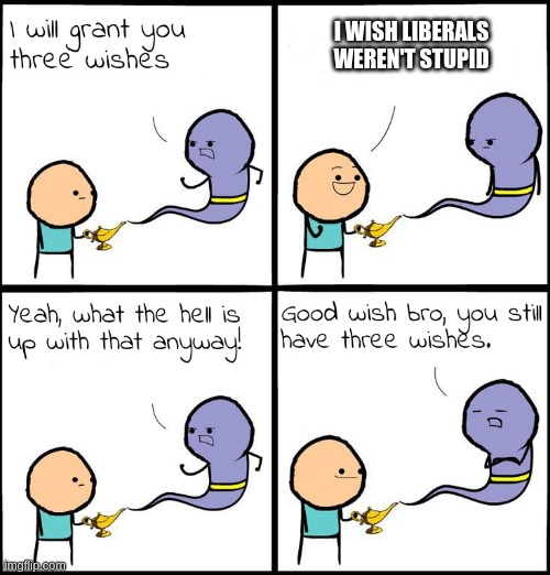 3 Wishes | I WISH LIBERALS WEREN'T STUPID | image tagged in 3 wishes | made w/ Imgflip meme maker