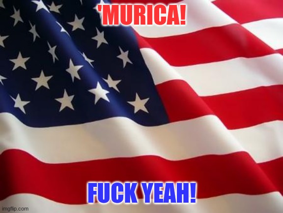 American flag | 'MURICA! FUCK YEAH! | image tagged in american flag | made w/ Imgflip meme maker