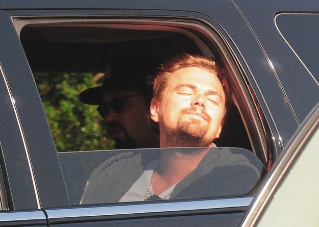 Leo car window Blank Meme Template