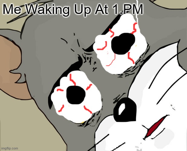 Unsettled Tom Meme | Me Waking Up At 1.PM | image tagged in memes,unsettled tom | made w/ Imgflip meme maker