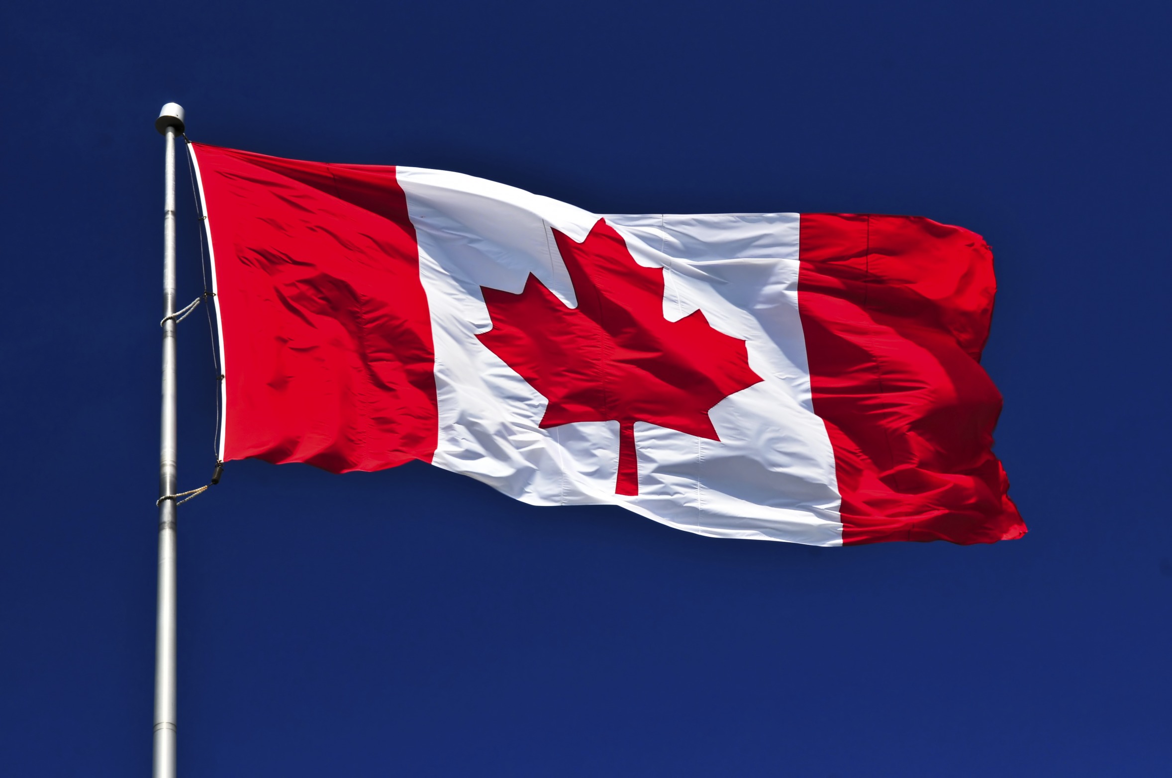 High Quality Canada flag Blank Meme Template