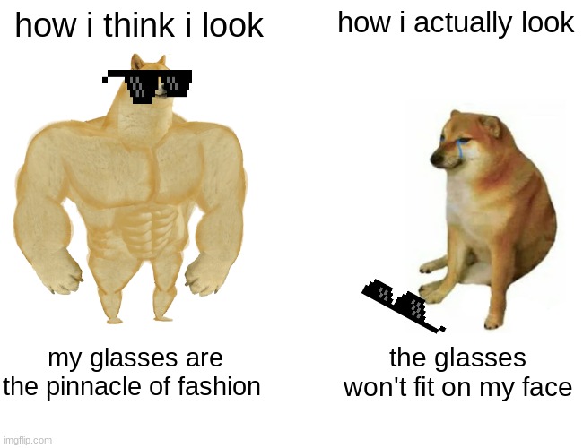 rip cheems | how i think i look; how i actually look; my glasses are the pinnacle of fashion; the glasses won't fit on my face | image tagged in memes,buff doge vs cheems | made w/ Imgflip meme maker