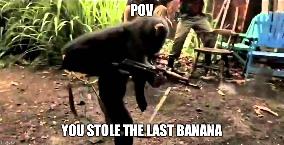Monkey with Machine Gun | POV; YOU STOLE THE LAST BANANA | image tagged in monkey with machine gun | made w/ Imgflip meme maker