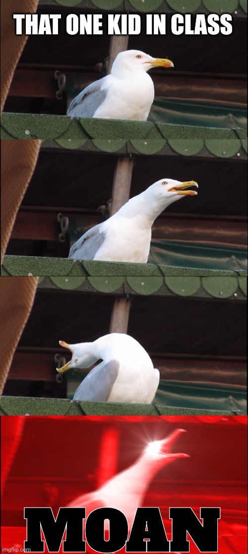 Inhaling Seagull Meme | THAT ONE KID IN CLASS; MOAN | image tagged in memes,inhaling seagull | made w/ Imgflip meme maker