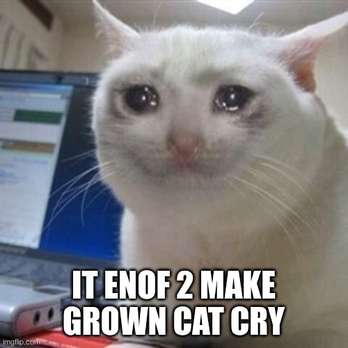 Crying cat | IT ENOF 2 MAKE GROWN CAT CRY | image tagged in crying cat | made w/ Imgflip meme maker