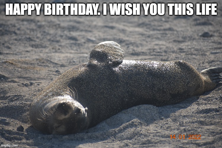Happy Birthday= Relax | HAPPY BIRTHDAY. I WISH YOU THIS LIFE | image tagged in happy birthday | made w/ Imgflip meme maker