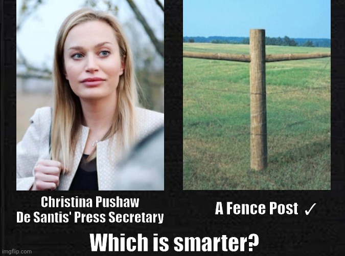 A Fence Post  ✓; Christina Pushaw
De Santis' Press Secretary; Which is smarter? | made w/ Imgflip meme maker