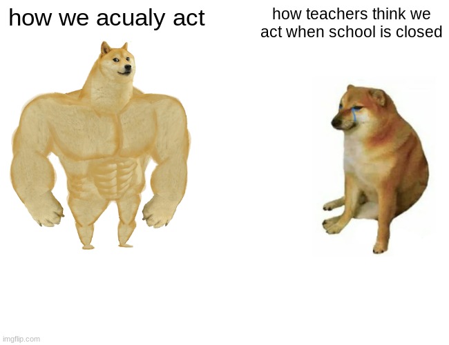 Buff Doge vs. Cheems Meme | how we acualy act how teachers think we act when school is closed | image tagged in memes,buff doge vs cheems | made w/ Imgflip meme maker
