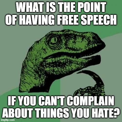 Pro-Hate Speech Meme #1 | WHAT IS THE POINT OF HAVING FREE SPEECH; IF YOU CAN'T COMPLAIN ABOUT THINGS YOU HATE? | image tagged in memes,philosoraptor,free speech,hate speech,freedom of speech,religious freedom | made w/ Imgflip meme maker