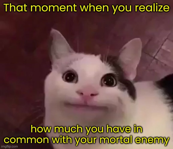 The Royal Cheez | That moment when you realize; how much you have in common with your mortal enemy | image tagged in awkward cat,msmg,memes,what the heck | made w/ Imgflip meme maker