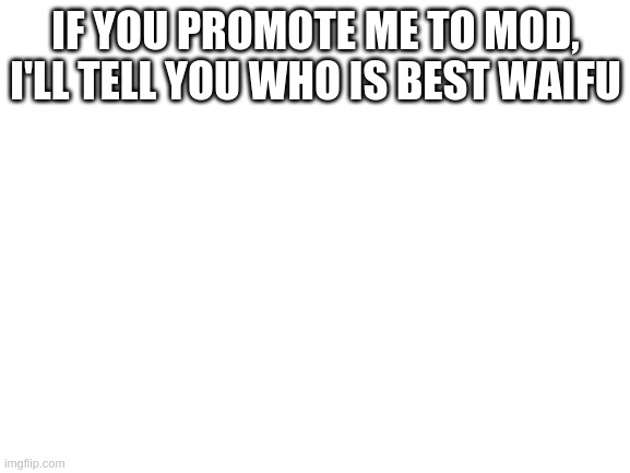 Asui (Tsu) | IF YOU PROMOTE ME TO MOD, I'LL TELL YOU WHO IS BEST WAIFU | image tagged in blank white template | made w/ Imgflip meme maker