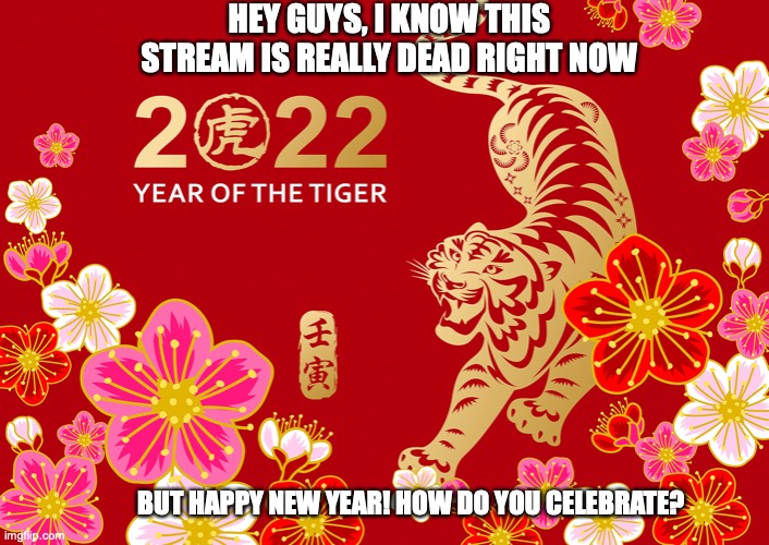 That is, if you only celebrate it | HEY GUYS, I KNOW THIS STREAM IS REALLY DEAD RIGHT NOW; BUT HAPPY NEW YEAR! HOW DO YOU CELEBRATE? | made w/ Imgflip meme maker