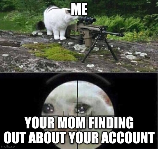 Sniper cat | ME YOUR MOM FINDING OUT ABOUT YOUR ACCOUNT | image tagged in sniper cat | made w/ Imgflip meme maker