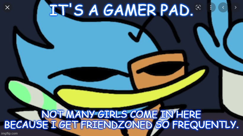 Berdly And The Gamer Pad | IT'S A GAMER PAD. NOT MANY GIRLS COME IN HERE BECAUSE I GET FRIENDZONED SO FREQUENTLY. | image tagged in never trust the bad sprite,gaming,berdly,deltarune | made w/ Imgflip meme maker