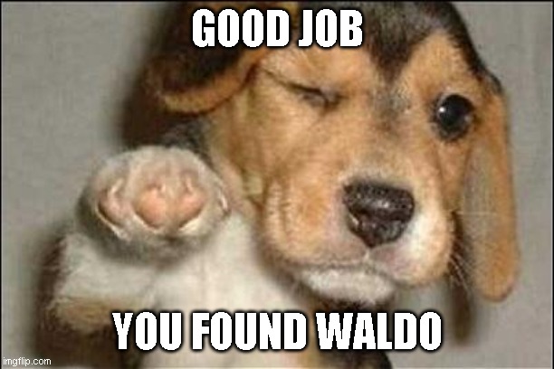 good job dog | GOOD JOB YOU FOUND WALDO | image tagged in good job dog | made w/ Imgflip meme maker