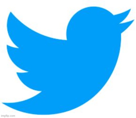 Twitter logo 2017 | image tagged in twitter logo 2017 | made w/ Imgflip meme maker