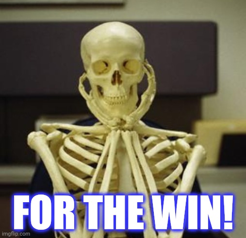 FOR THE WIN! | made w/ Imgflip meme maker