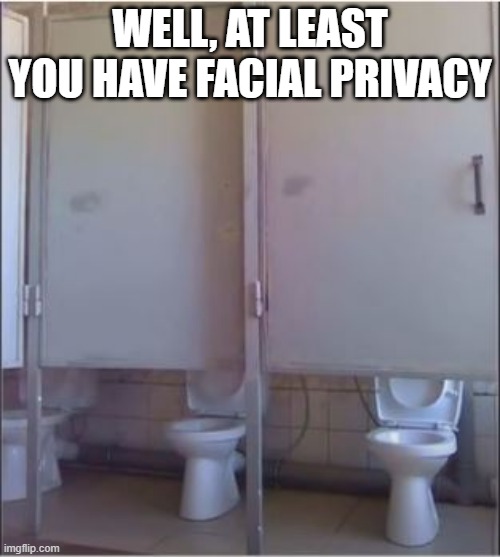 Wanna See My Junk? | WELL, AT LEAST YOU HAVE FACIAL PRIVACY | image tagged in you had one job | made w/ Imgflip meme maker