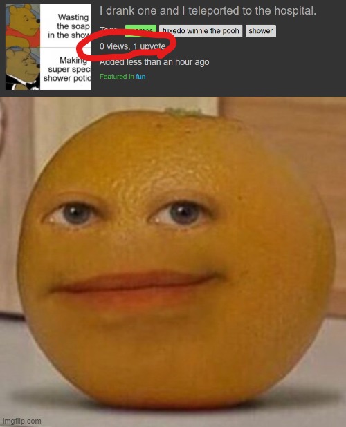 ok | image tagged in annoy orange,memes,what,how | made w/ Imgflip meme maker
