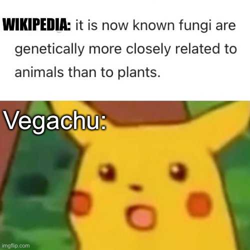 Wait’ll he finds out traditional ketchup is made from fish… ^_^; | WIKIPEDIA:; Vegachu: | image tagged in memes,surprised pikachu,vegan,fun fact,bad pun | made w/ Imgflip meme maker