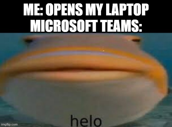 Fish Helo | ME: OPENS MY LAPTOP; MICROSOFT TEAMS: | image tagged in fish helo | made w/ Imgflip meme maker