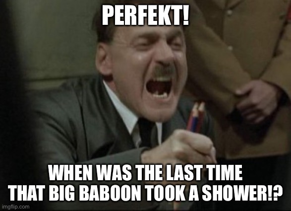 PERFEKT! WHEN WAS THE LAST TIME
THAT BIG BABOON TOOK A SHOWER!? | image tagged in hitler downfall | made w/ Imgflip meme maker